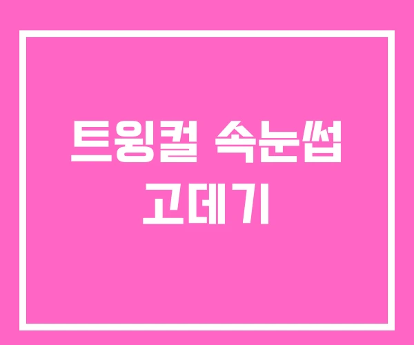 트윙컬 속눈썹 고데기