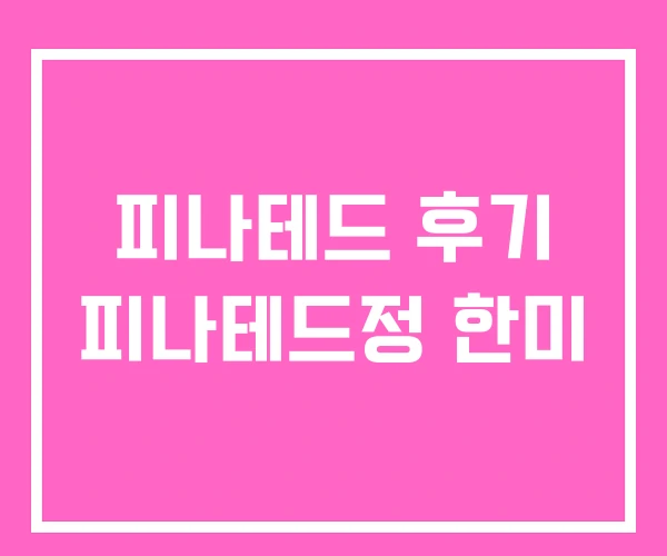 피나테드 후기 피나테드정 한미