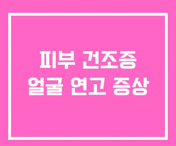 피부 건조증 얼굴 연고 증상