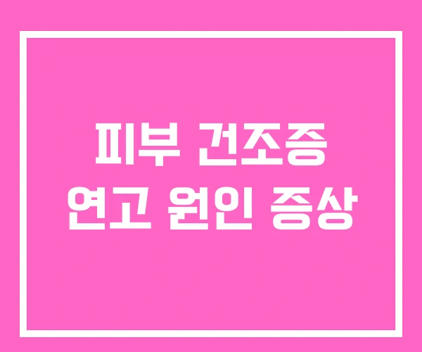 피부 건조증 연고 원인 증상