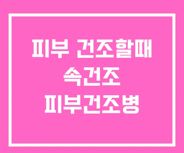 피부 건조할때 속건조 피부건조병