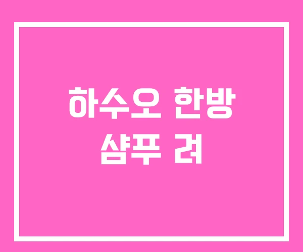 하수오 한방 샴푸 려 하수오 한방 샴푸 려