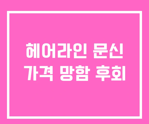 헤어라인 문신 가격 망함 후회 헤어라인 문신 가격 망함 후회