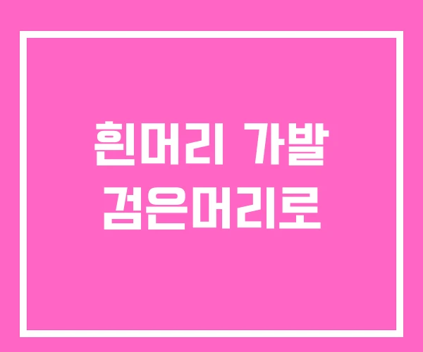 흰머리 가발 검은머리로