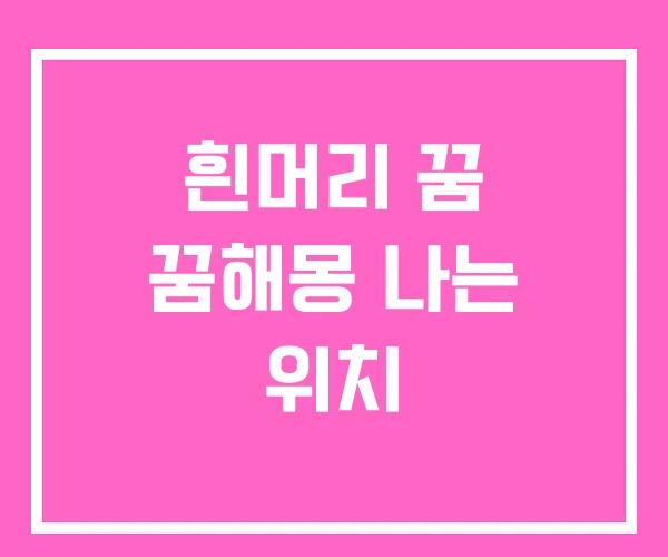 흰머리 꿈 꿈해몽 나는 위치