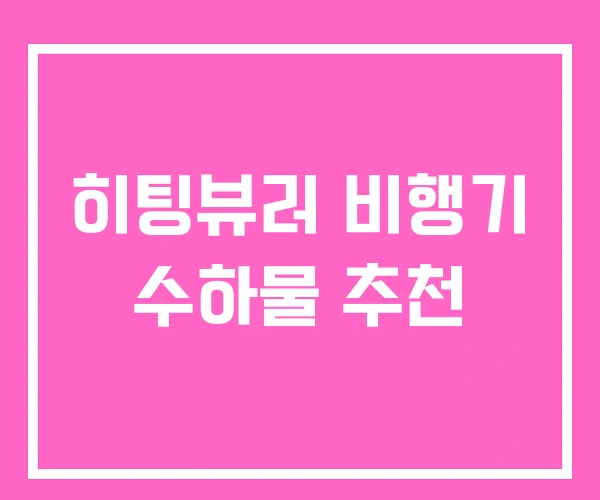 히팅뷰러 비행기 수하물 추천