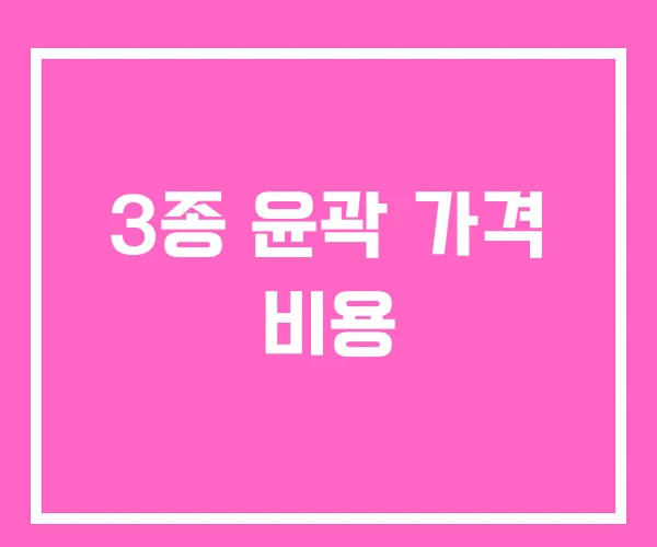 3종 윤곽 가격 비용
