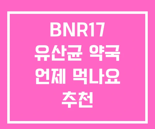 BNR17 유산균 약국 언제 먹나요 추천