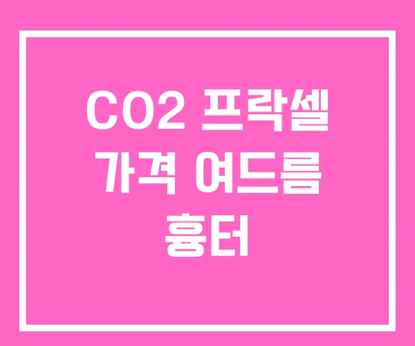 CO2 프락셀 가격 여드름 흉터
