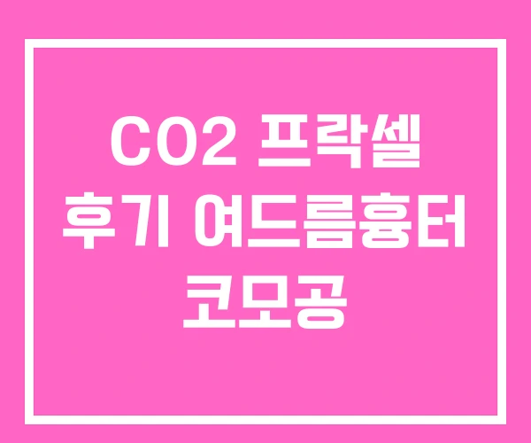 CO2 프락셀 후기 여드름흉터 코모공
