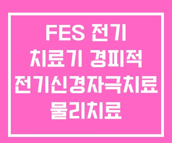 FES 전기 치료기 경피적 전기신경자극치료 물리치료