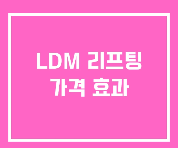 LDM 리프팅 가격 효과