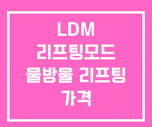 LDM 리프팅모드 물방울 리프팅 가격