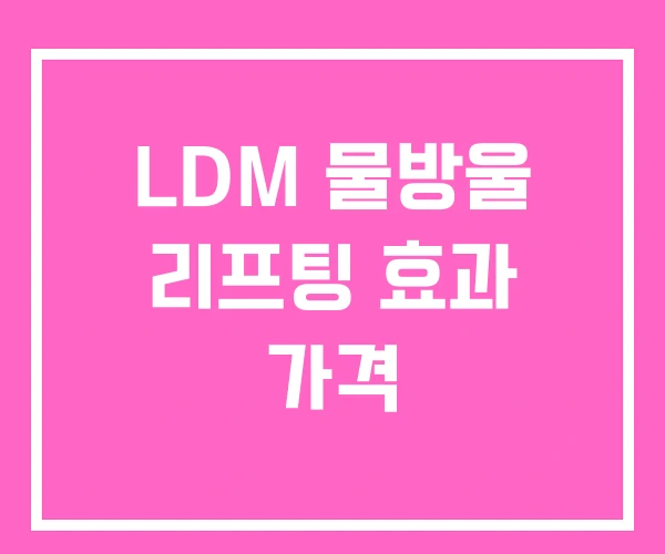 LDM 물방울 리프팅 효과 가격