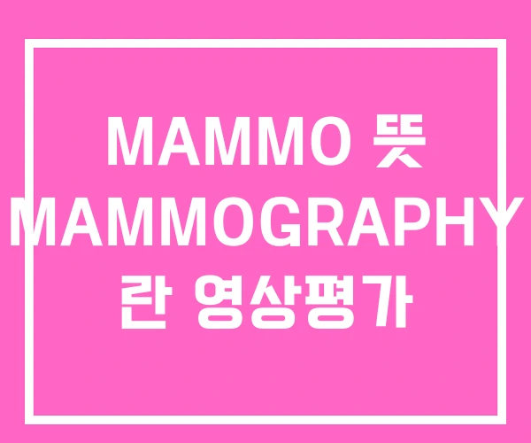 MAMMO 뜻 MAMMOGRAPHY 란 영상평가