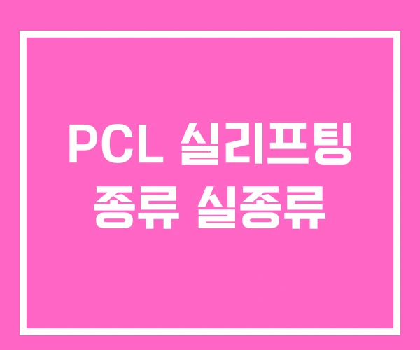 PCL 실리프팅 종류 실종류