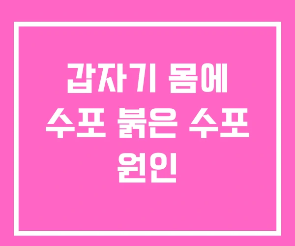 갑자기 몸에 수포 붉은 수포 원인
