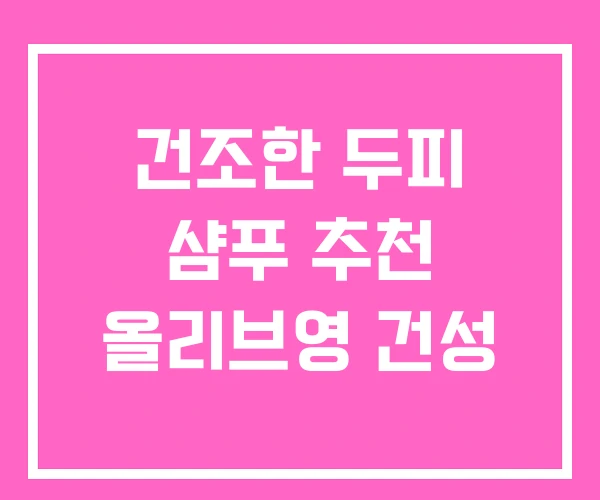 건조한 두피 샴푸 추천 올리브영 건성 건조한 두피 샴푸 추천 올리브영 건성