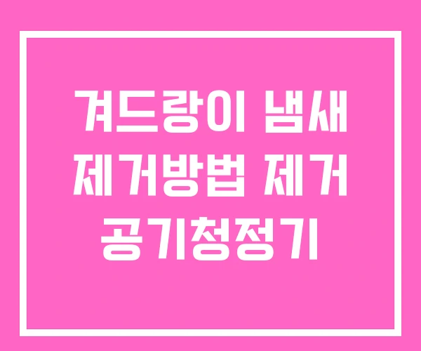 겨드랑이 냄새 제거방법 제거 공기청정기