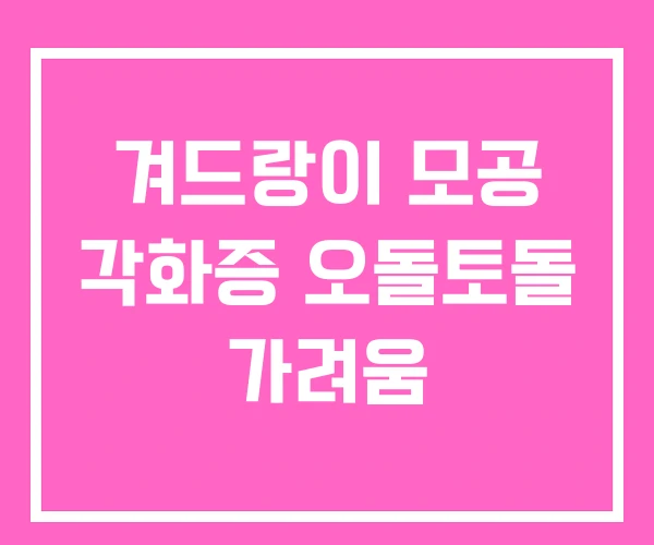 겨드랑이 모공 각화증 오돌토돌 가려움 겨드랑이 모공 각화증 오돌토돌 가려움