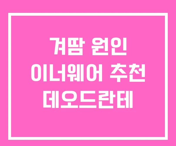 겨땀 원인 이너웨어 추천 데오드란테