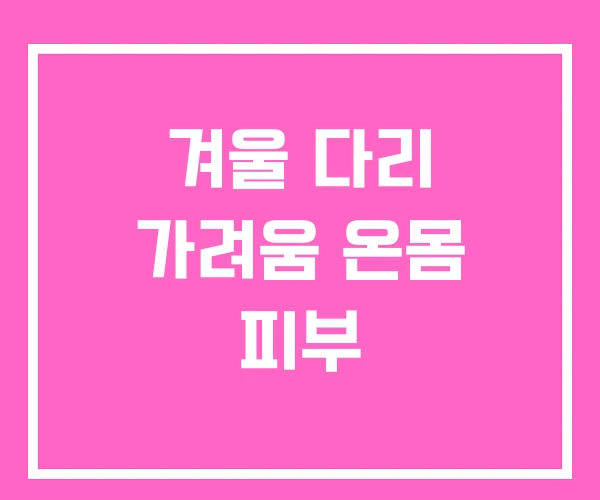 겨울 다리 가려움 온몸 피부 겨울 다리 가려움 온몸 피부
