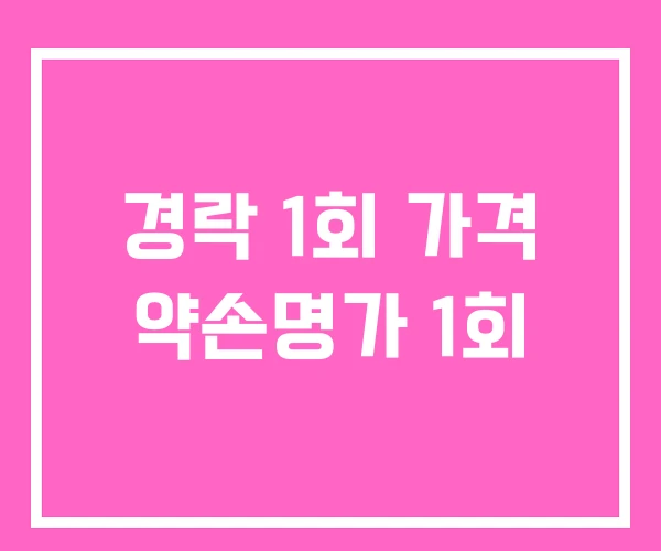 경락 1회 가격 약손명가 1회 경락 1회 가격 약손명가 1회
