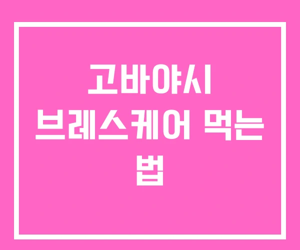 고바야시 브레스케어 먹는 법
