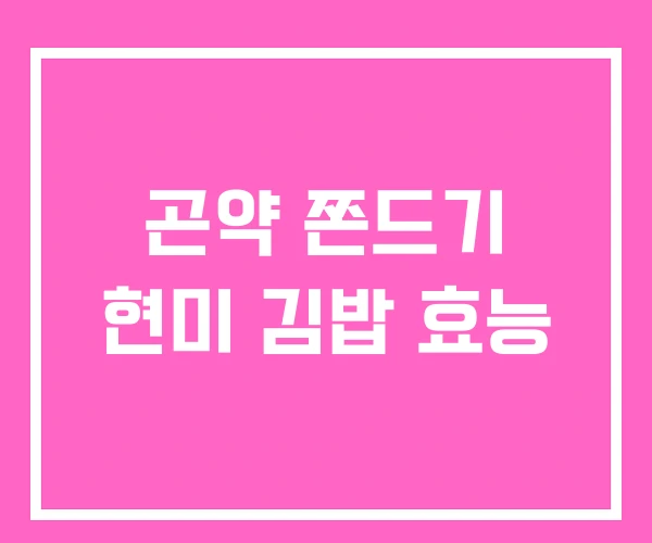 곤약 쫀드기 현미 김밥 효능