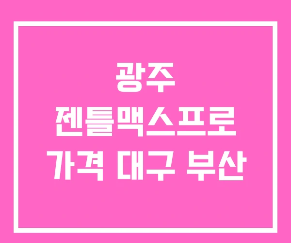 광주 젠틀맥스프로 가격 대구 부산