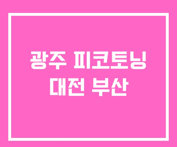 광주 피코토닝 대전 부산
