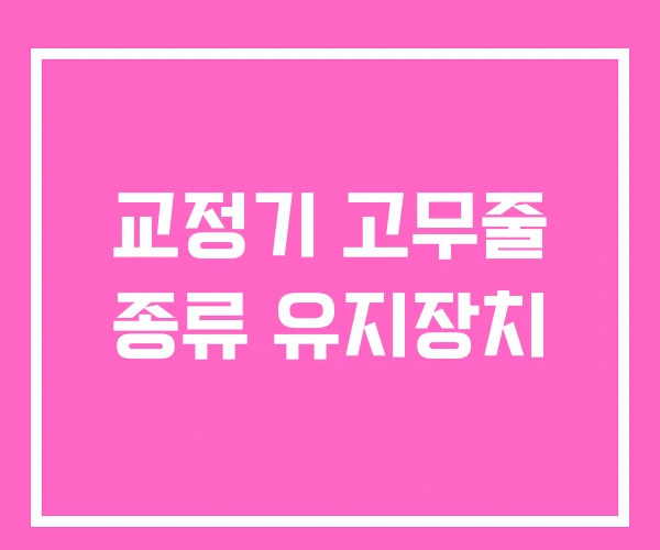 교정기 고무줄 종류 유지장치