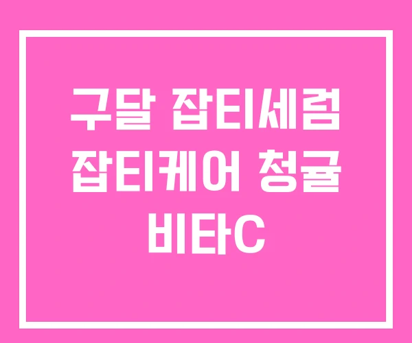 구달 잡티세럼 잡티케어 청귤 비타C