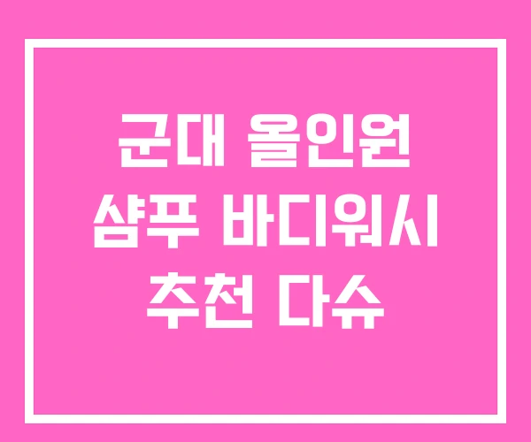 군대 올인원 샴푸 바디워시 추천 다슈