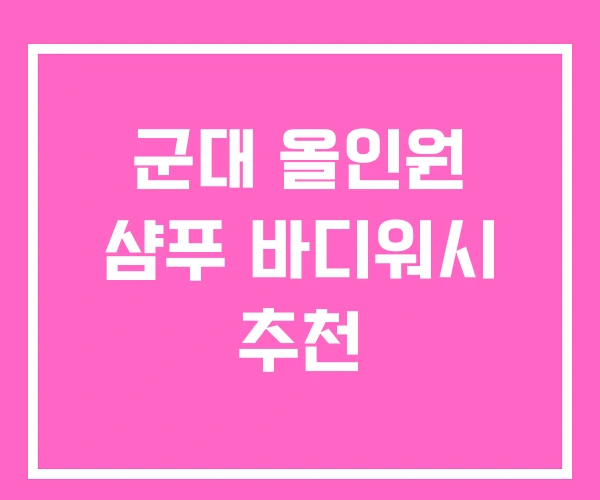 군대 올인원 샴푸 바디워시 추천