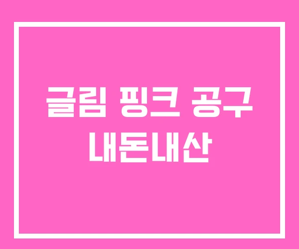 글림 핑크 공구 내돈내산