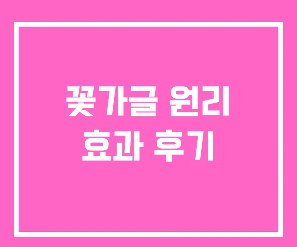 꽃가글 원리 효과 후기
