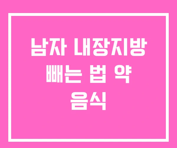 남자 내장지방 빼는 법 약 음식
