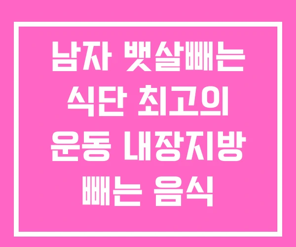 남자 뱃살빼는 식단 최고의 운동 내장지방 빼는 음식 남자 뱃살빼는 식단 최고의 운동 내장지방 빼는 음식