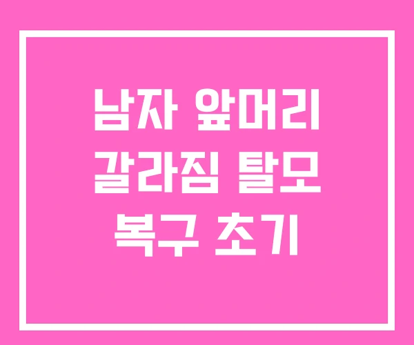 남자 앞머리 갈라짐 탈모 복구 초기 남자 앞머리 갈라짐 탈모 복구 초기