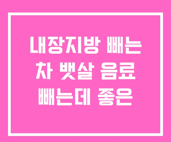 내장지방 빼는 차 뱃살 음료 빼는데 좋은 내장지방 빼는 차 뱃살 음료 빼는데 좋은