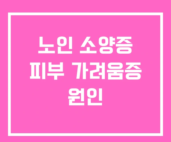 노인 소양증 피부 가려움증 원인 노인 소양증 피부 가려움증 원인