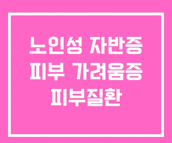 노인성 자반증 피부 가려움증 피부질환 노인성 자반증 피부 가려움증 피부질환