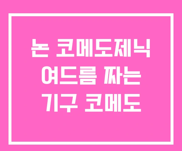 논 코메도제닉 여드름 짜는 기구 코메도 논 코메도제닉 여드름 짜는 기구 코메도