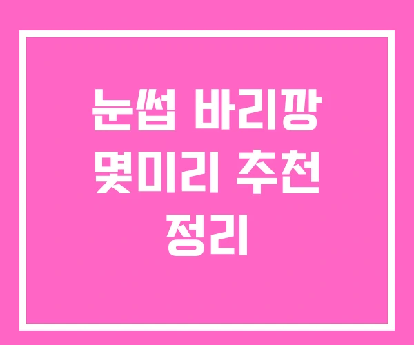 눈썹 바리깡 몇미리 추천 정리 눈썹 바리깡 몇미리 추천 정리