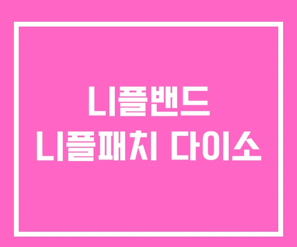니플밴드 니플패치 다이소 니플밴드 니플패치 다이소