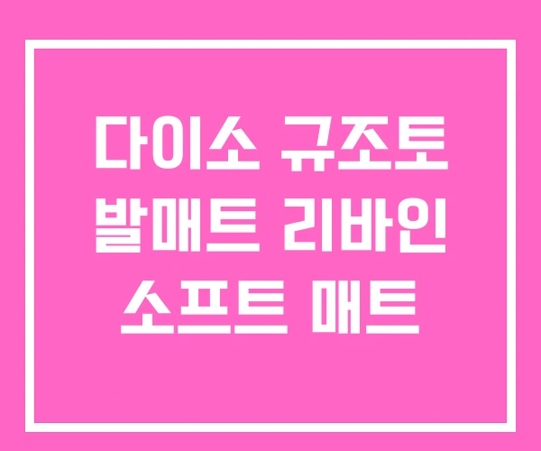 다이소 규조토 발매트 리바인 소프트 매트 다이소 규조토 발매트 리바인 소프트 매트