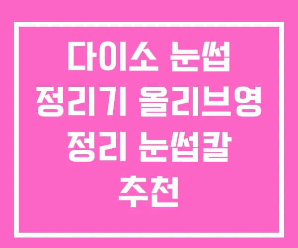 다이소 눈썹 정리기 올리브영 정리 눈썹칼 추천 다이소 눈썹 정리기 올리브영 정리 눈썹칼 추천
