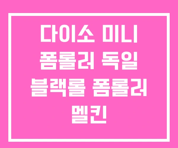 다이소 미니 폼롤러 독일 블랙롤 폼롤러 멜킨 다이소 미니 폼롤러 독일 블랙롤 폼롤러 멜킨