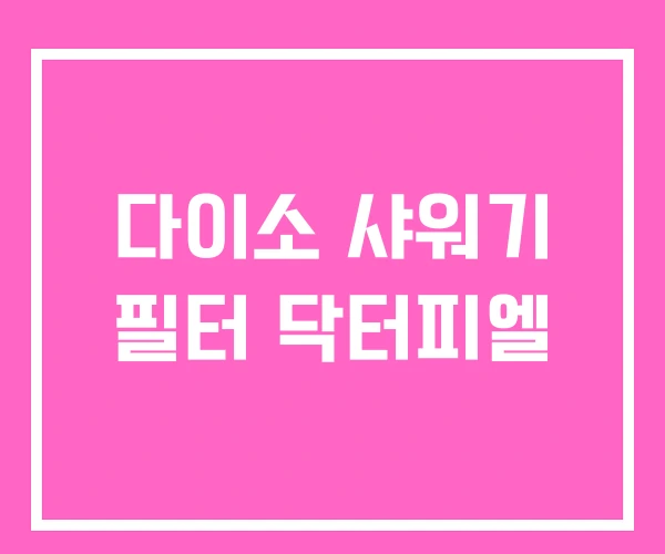 다이소 샤워기 필터 닥터피엘 다이소 샤워기 필터 닥터피엘